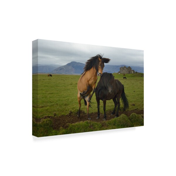 Izidor Gasperlin 'Two Wild Horses' Canvas Art,12x19